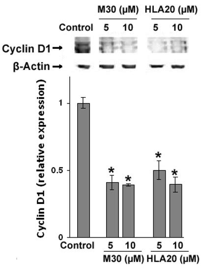 The Neuroprotective Activities of the Novel Multi-Target Iron-Chelators ...