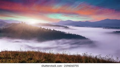 Beautiful Morning View 的图像结果