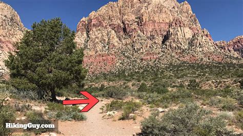 Hike First Creek Canyon Trail