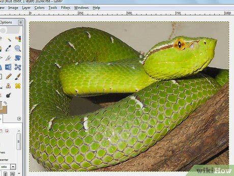 Image result for GIMP Tutorials Eraser