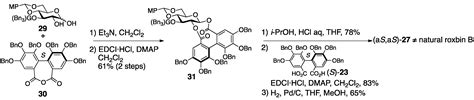 Structural Revisions in Natural Ellagitannins