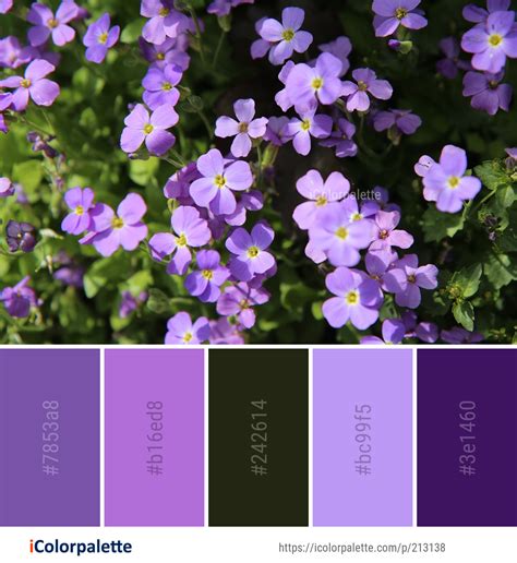 FlowerColor 的图像结果