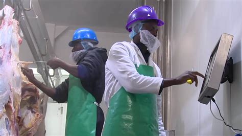 Image result for Beef Processing Systems