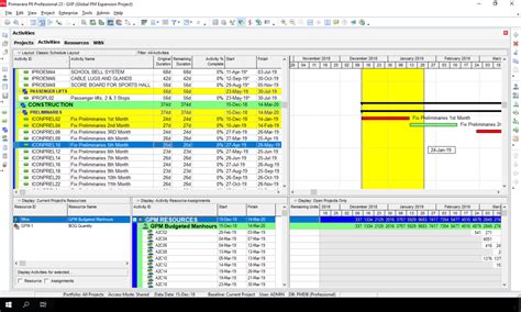 Image result for Oracle Primavera P6 Software Invoice