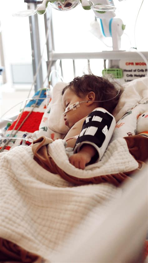 Mia St Clair | Day 39: Foxi gets to go home! 😭 Our tiny fighter has ...