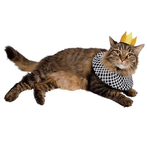 20 Best Cat Halloween Costumes for 2021 - Funny Cat Costume Ideas