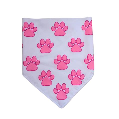 Pretty in Pink Paws Dog Bandana – PAWfecto Bandanas