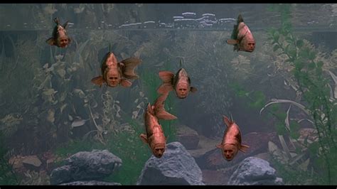 Image result for Monty Python the Meaning of Life Fish
