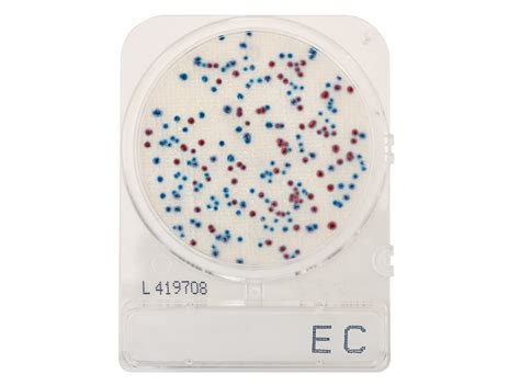 Hardy Diagnostics CompactDry EC (E. coli and coliforms) for Colony ...