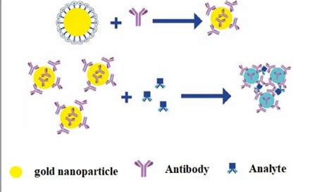 Image result for Colorimetry Detection Projects