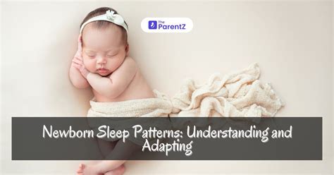 Newborn Sleep Patterns 的图像结果