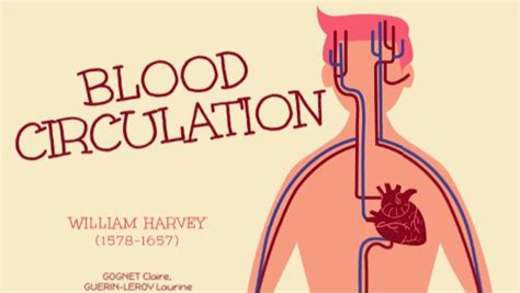 Image result for Simple Blood Circulation