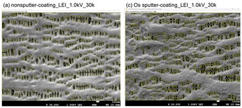 Determining Accurate Pore Structures of Polypropylene Membrane for ECMO ...