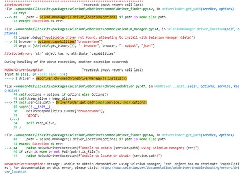 Selenium FirefoxDriver Python 的图像结果