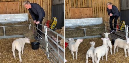 After Controversial Lamb Video, PETA Says Gordon Ramsay's Kids Should ...