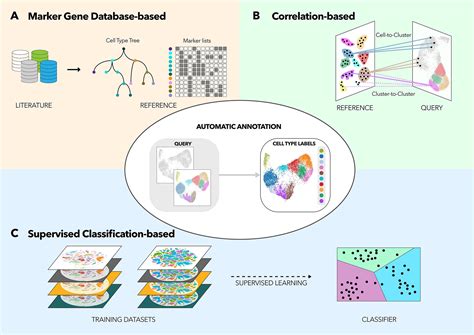 Image result for Cell Annotation
