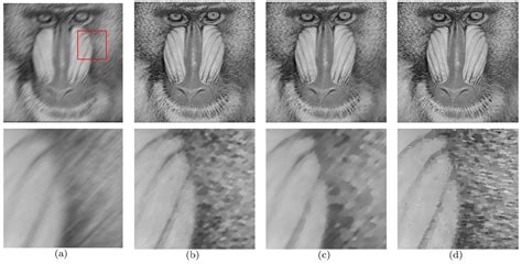A Novel Fractional-Order Non-Convex TVα,p Model in Image Deblurring