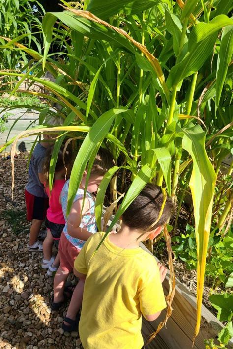 Native American Children Learning 的图像结果