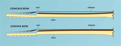 How To Adjust Truss Rod On Bass at Bob Bormann blog