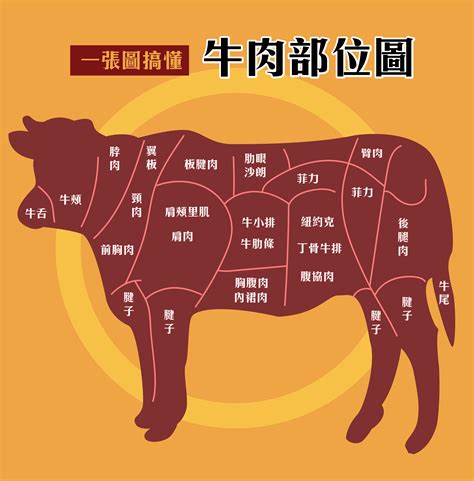 牛排美食宣传海报图片下载_红动中国