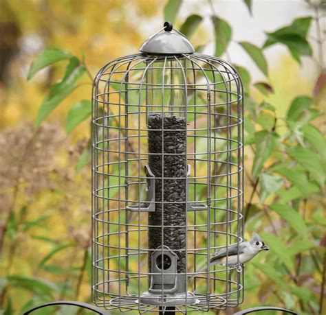9 Tube Bird Feeders for Your Favorite Fliers - Birds and Blooms