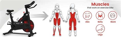 SSB-14 Spin Bike Exercise Cycle for Home Gym ?Free Delivery