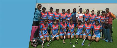 Indian Tigers | Manufacturing Catalogues