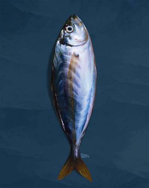 死鱼|插画|商业插画|Peter肖吉 - 原创作品 - 站酷 (ZCOOL)