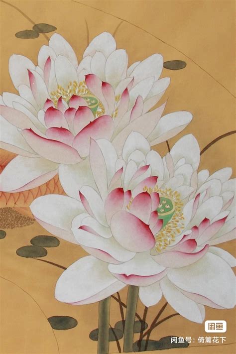 莲叶 的图像结果