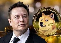 Image result for Elon Musk seeks to end Dogecoin lawsuit