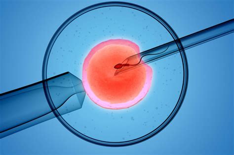 Best Obst Gynaecologist Gynec in Crossing Republik, Ghaziabad, Greater ...