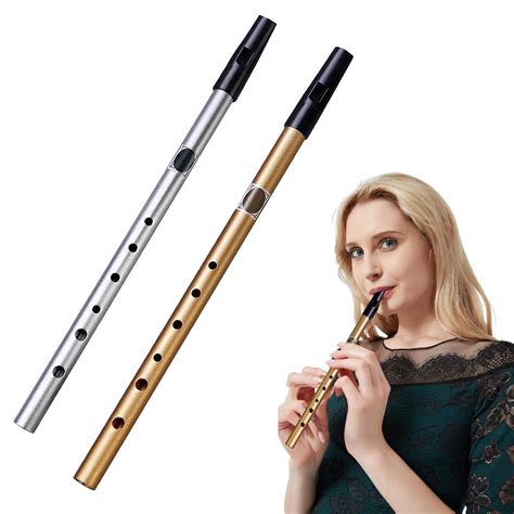 2 Pcs Penny Whistle, Tin Whistle, Easy to Play and Easy to Carry Tin ...