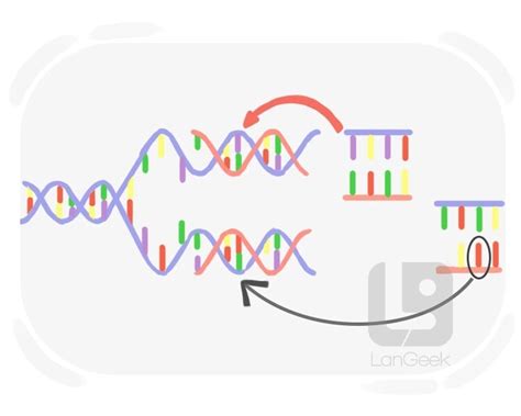 Image result for Define Mutation