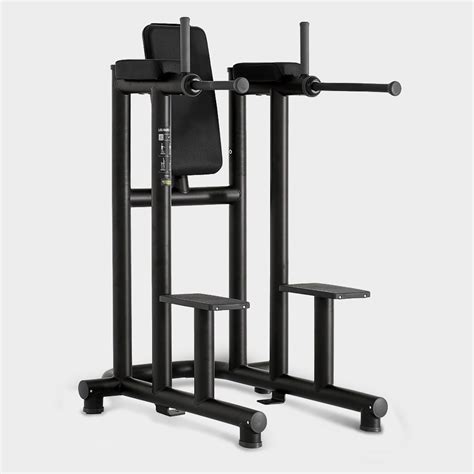 Leg Raise On Dip Station
