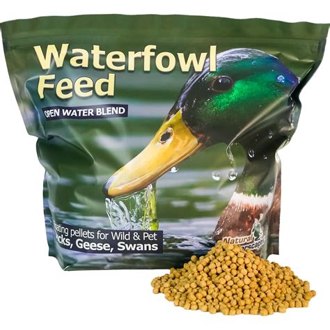 Can I Feed Ducks Dog Food