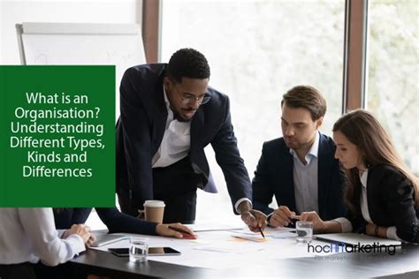 Image result for Organisation Types