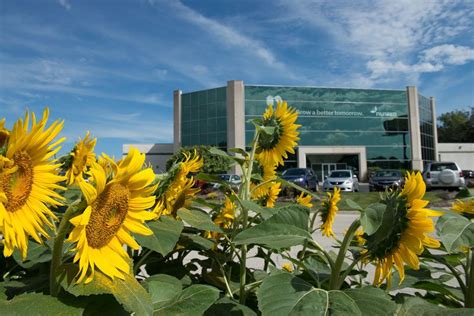 Nufarm Office Photos | Glassdoor
