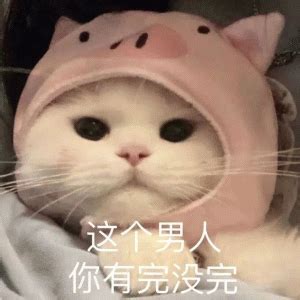 猫咪无奈说 这个男人 你有完没完表情包图片gif动图 - 求表情网,斗图从此不求人!