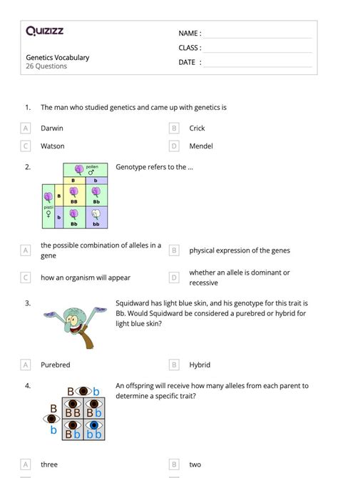 50+ genetics vocabulary genotype and phenotype worksheets for 9th Class ...
