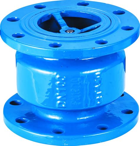 Image result for Spring Loaded Lug Check Valve