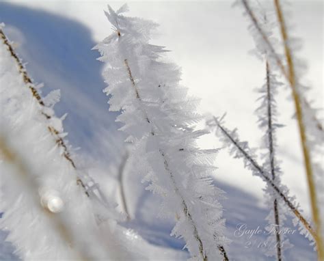 All About Beautiful Moments : Snow Feathers