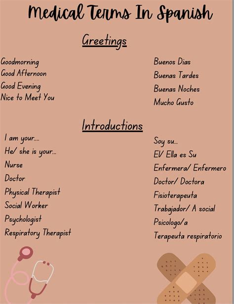 Spanish Medical Terminology, Body Parts/organs, Medical Words Spanish ...