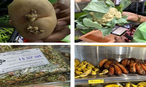 Housefly infestation to expired food: GHMC FSW inspects 44 supermarkets ...