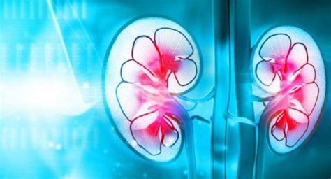 Heavy, tall kids are at higher risk of kidney cancer | TheHealthSite.com