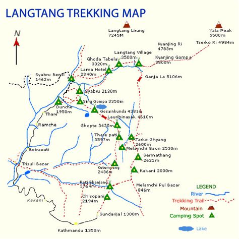 In Himalayas, a cute rabbit-like animal is threatened by global warming