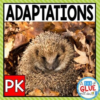 Animal Science Experiments 的图像结果