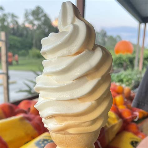 Swirled Soft Serve: South Naples Citrus Grove
