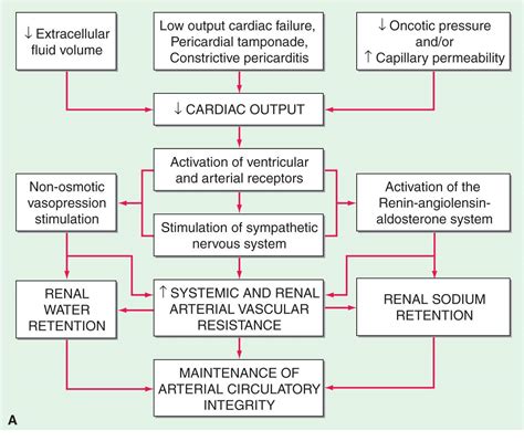 Edema | Thoracic Key - what affects osmotic pressure