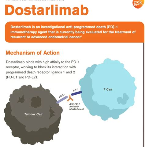 Image result for jemperli