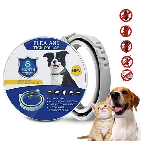 Are Flea Collars Safe For Dogs And Cats